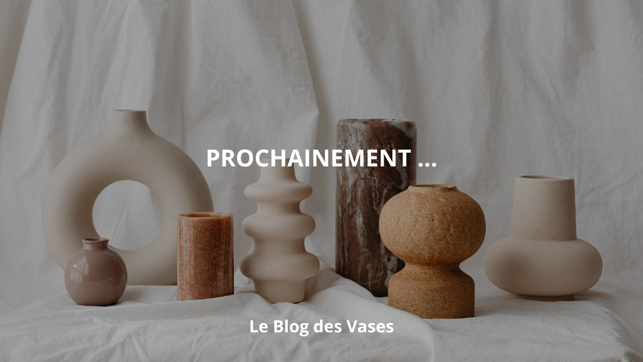 PROCHAINEMENT Image