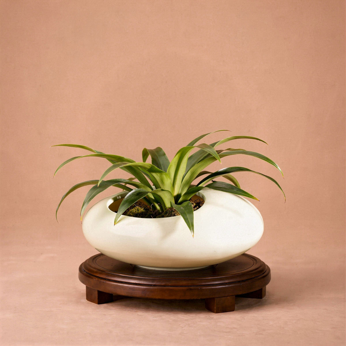 Vase galet chinois en céramique