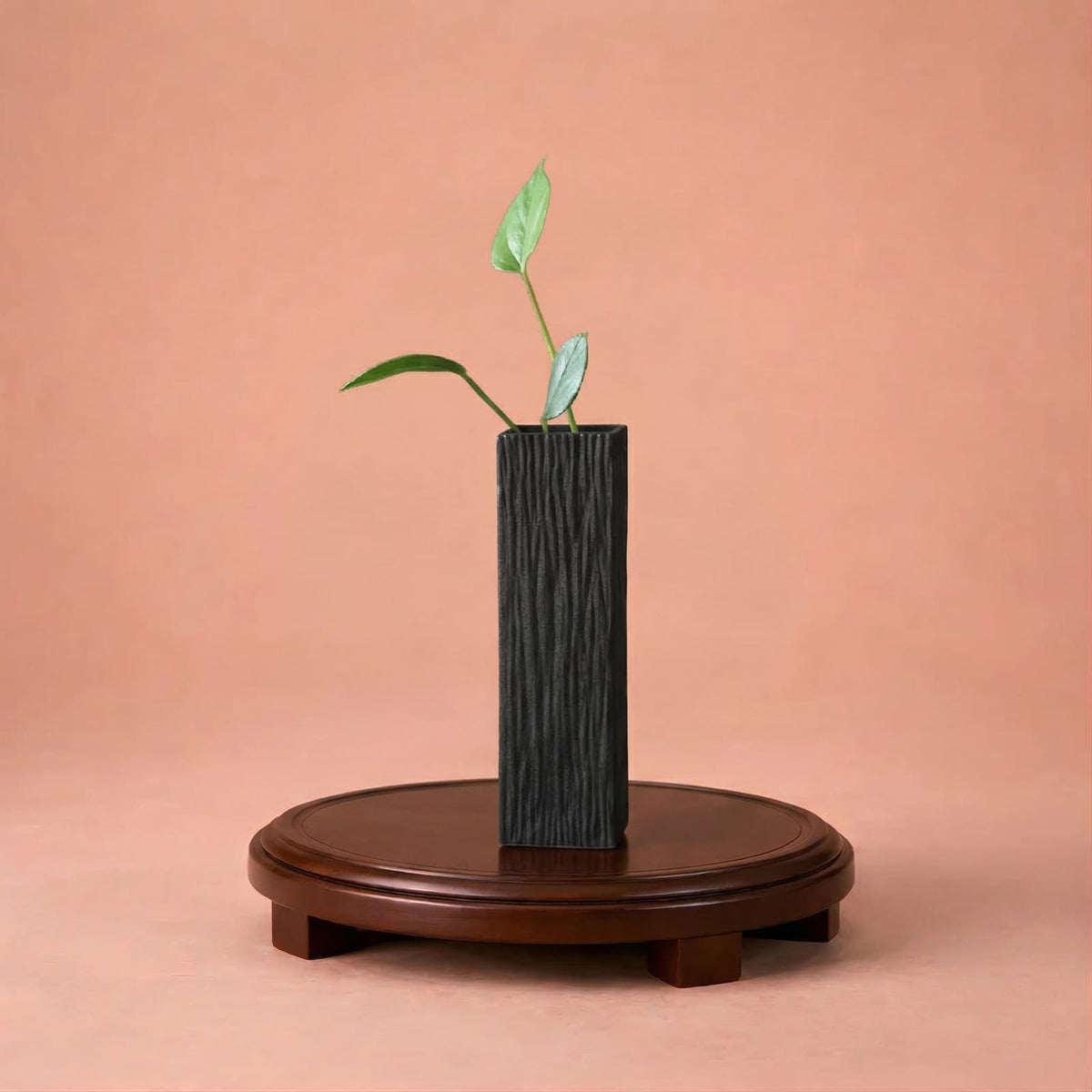 Petit vase de plante noir en céramique