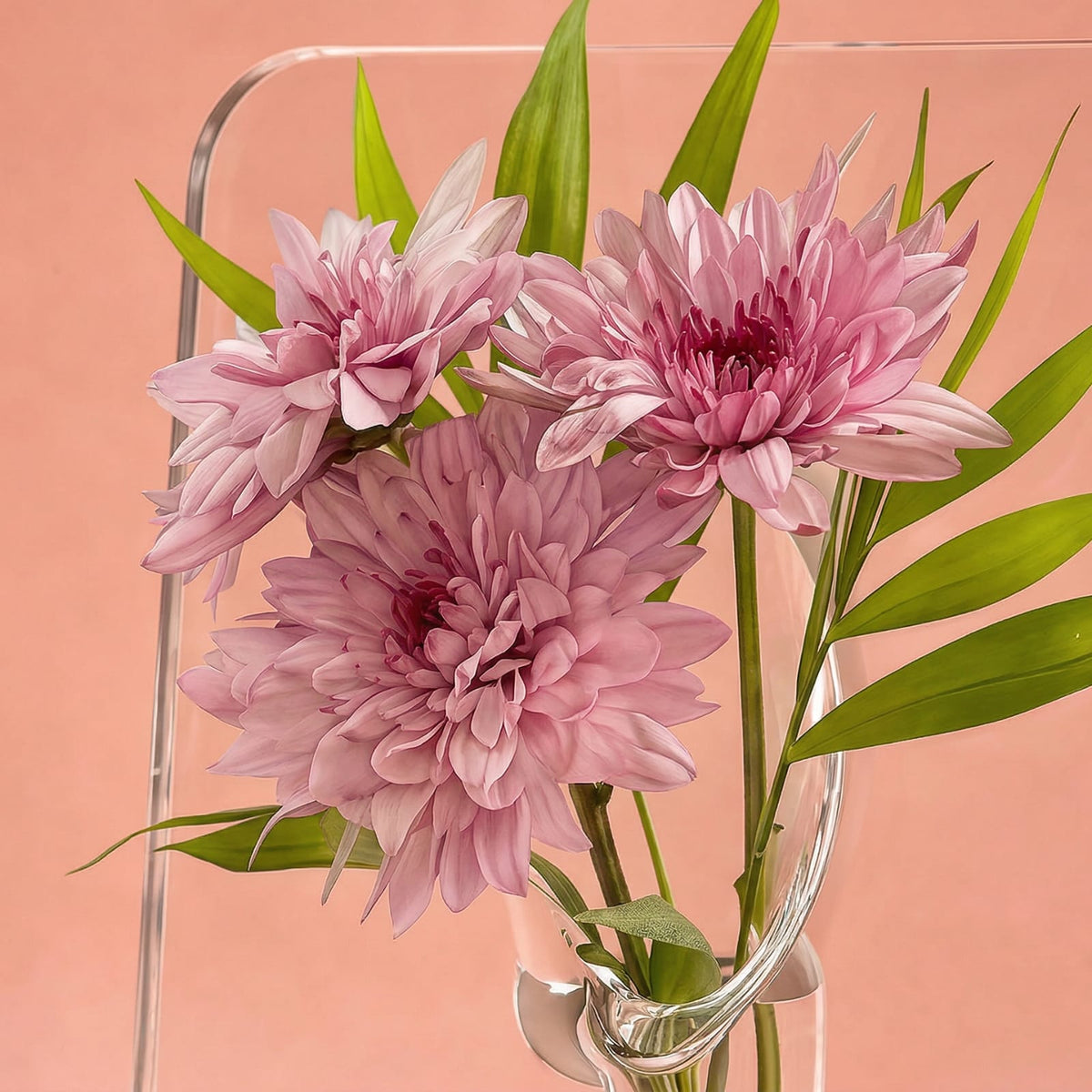 Vase cadre à fleurs transparent en acrylique
