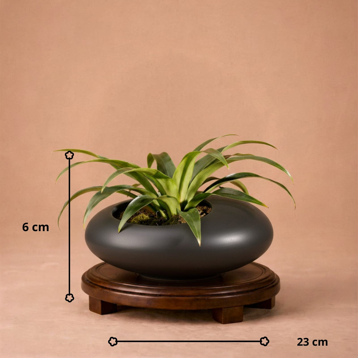 Vase galet chinois en céramique