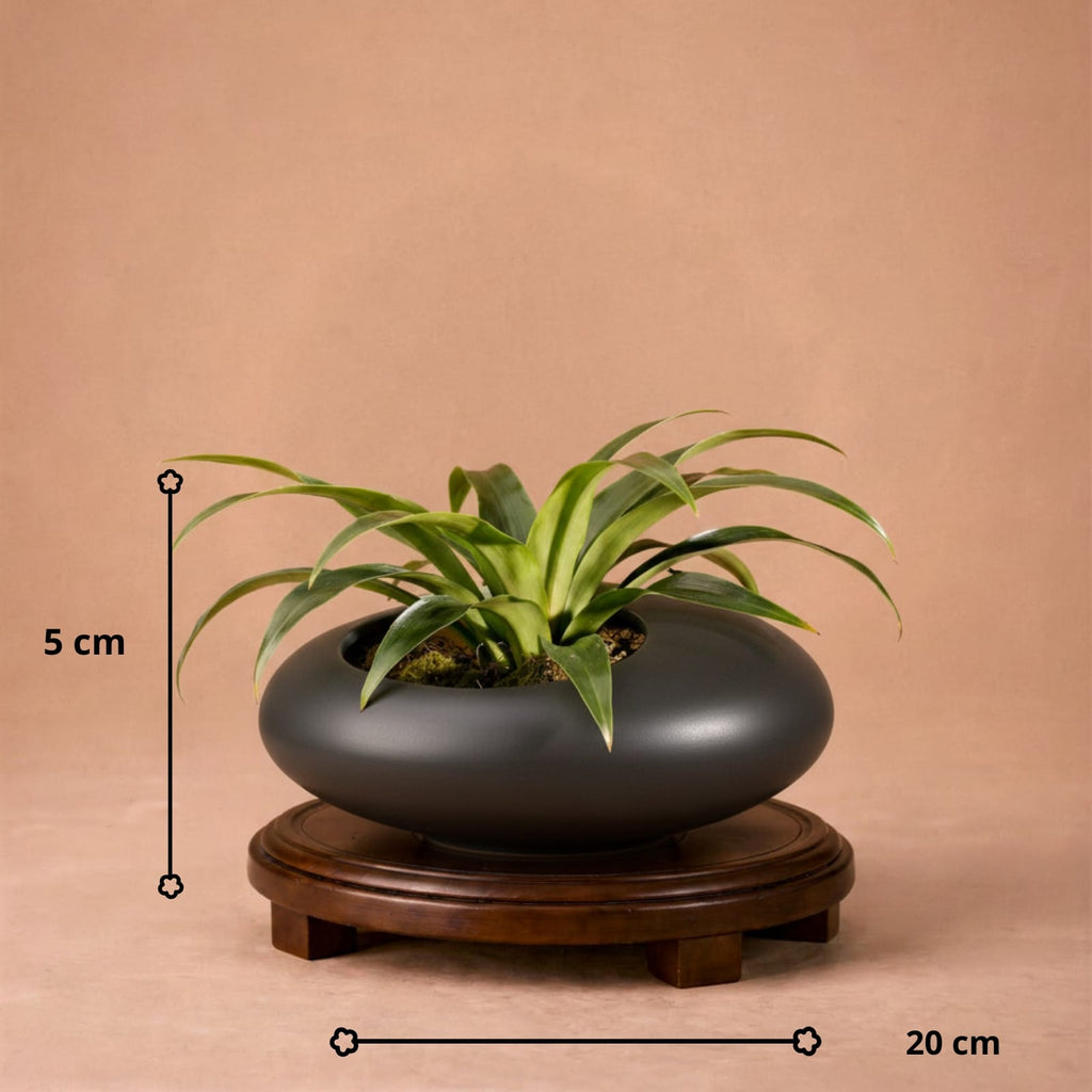 Vase galet chinois en céramique