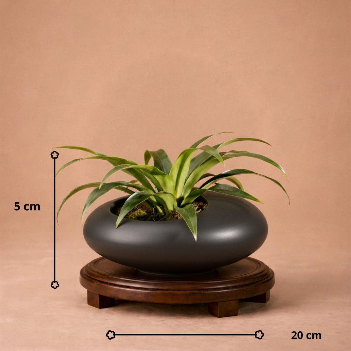 Vase galet chinois en céramique