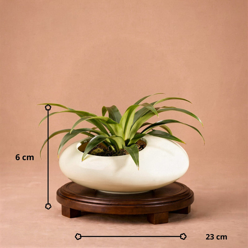 Vase galet chinois en céramique